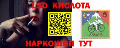 спиды Дубна