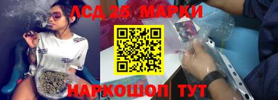 спиды Дубна