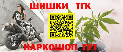 спиды Дубна